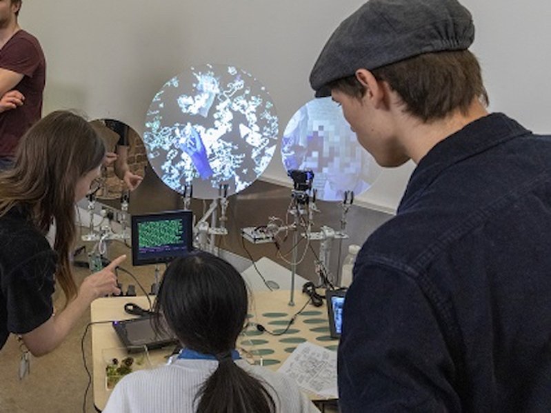 Visitors interact with Expressive Machine #3 at V&A Digital Design Weekend 2019. Photo credit V&A.