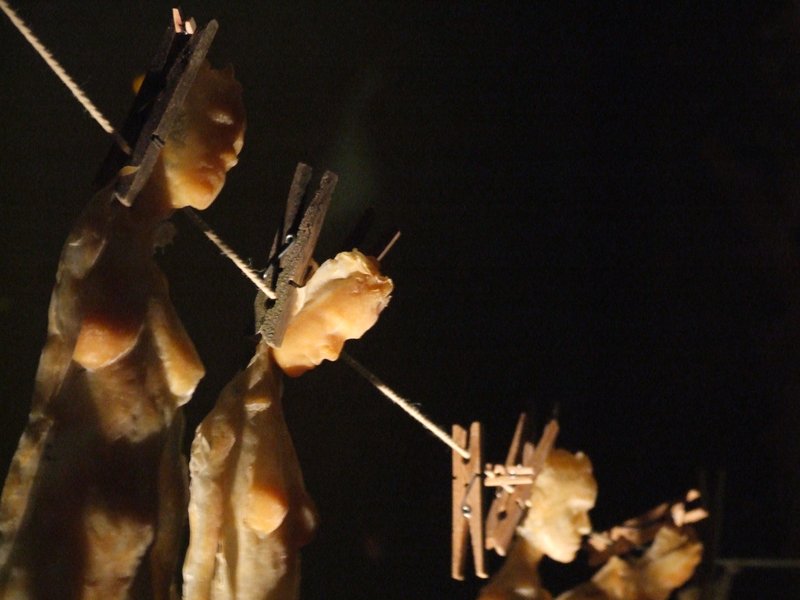 What Happened, What Might Have Been, installation for Château d'If at Shoreditch Town Hall, 2009