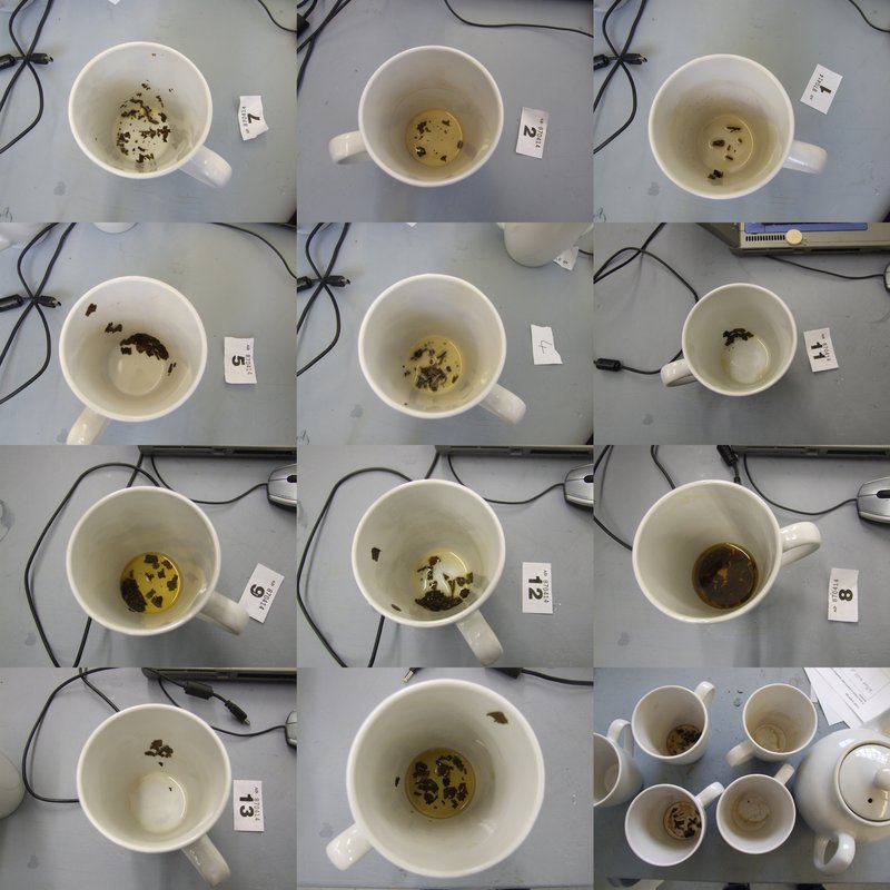 Tea leaves, ready for interpretation, Tell Me, Tea Leaf, 2011