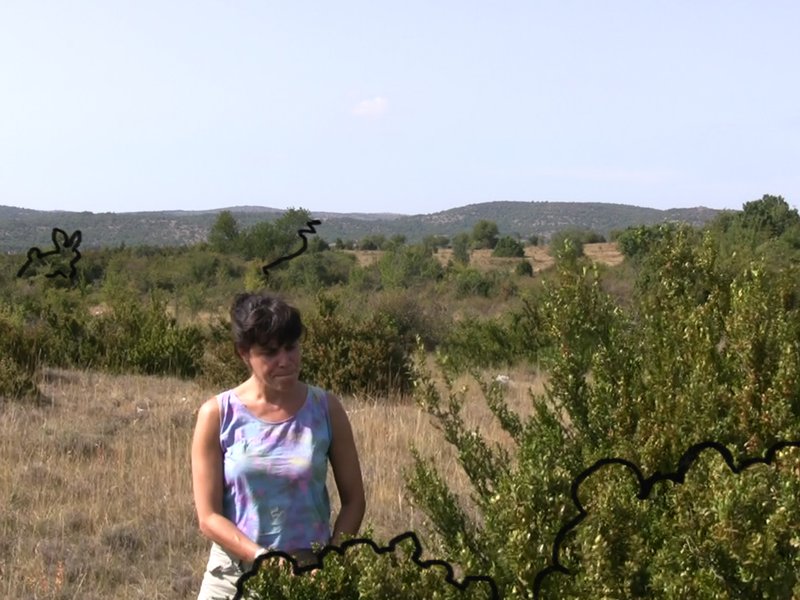 Unformable World, Causses and Cévennes, 2011